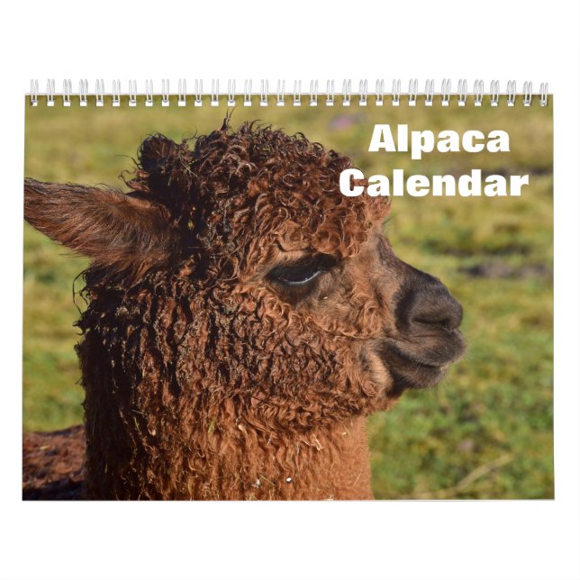 Calendário Alpaca 2027 (Capa)