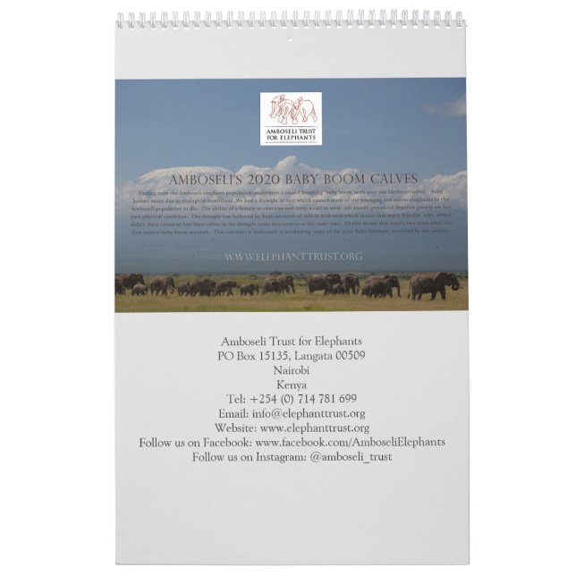 Calendário Amboseli Trust for Elephants baby boom calendar (Capa)