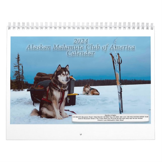 Calendário AMCA 2024 (Capa)