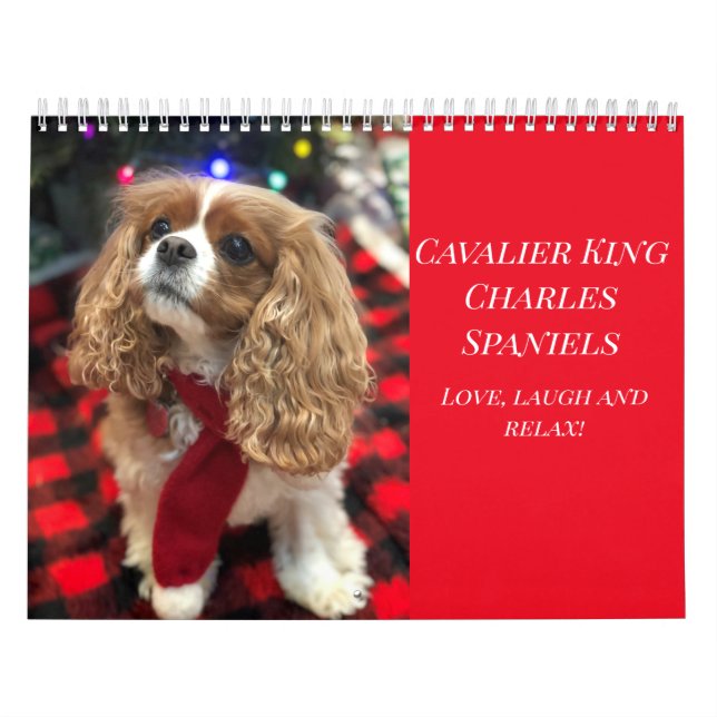 Calendário Ame, Ria & Relaxe Cavalier King Charles Spaniels (Capa)