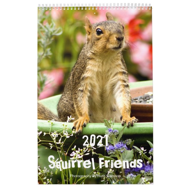 Calendário Amigos de Esquilo 2021 (Capa)