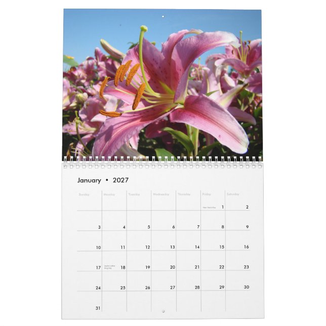 Calendário AMIGOS! Presentes do Natal das flores dos lírios (Jan 2027)
