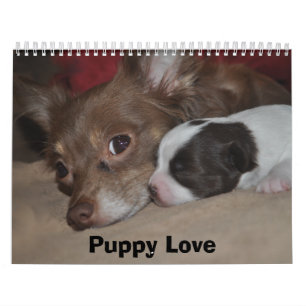 Calendário Amor de filhote de cachorro