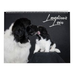 Calendário Amor Landseer