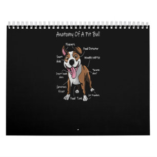 Calendário Anatomia de um Pitbull