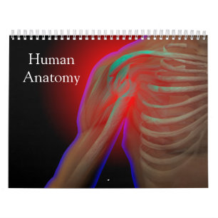Calendário Anatomia humana
