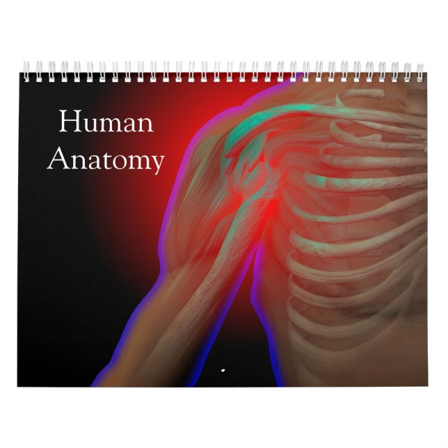 Calendário Anatomia humana (Capa)