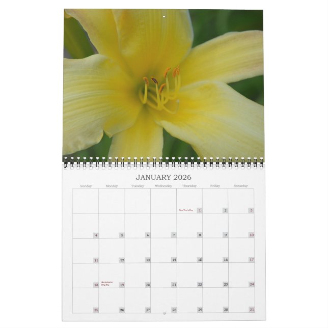 Calendário Angie's Lily (Jan 2026)
