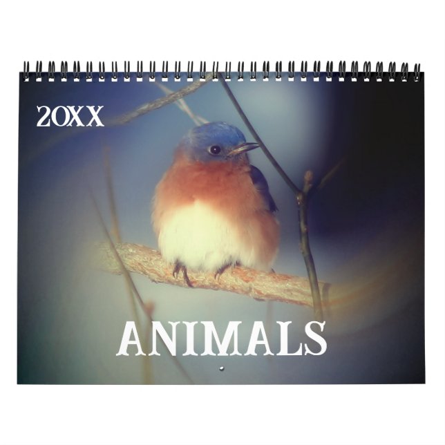 Calendário Animais (Capa)