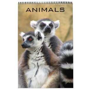 Calendário animais