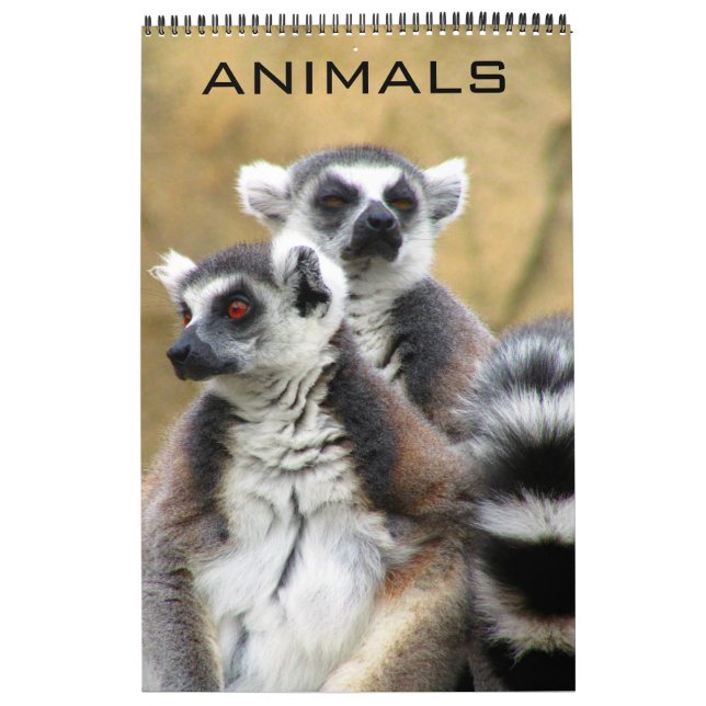 Calendário animais (Capa)
