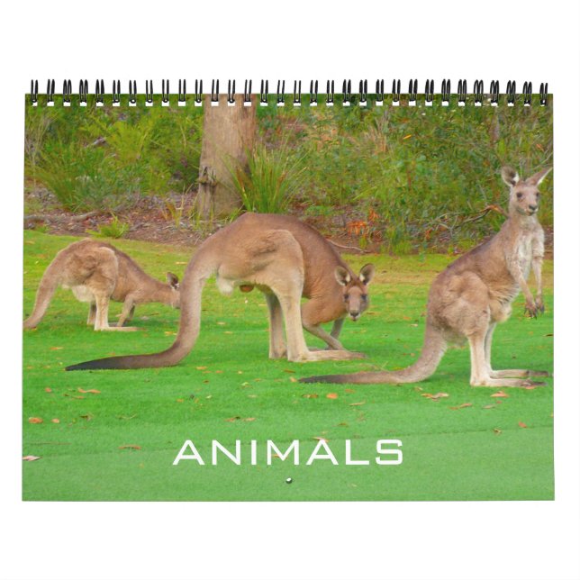 Calendário animais 2027 (Capa)