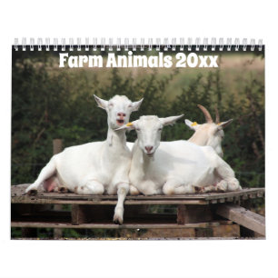 Calendário Animais Adoráveis na Fazenda