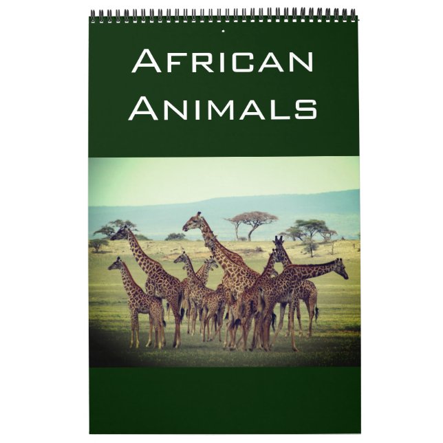 Calendário animais africanos 2026 (Capa)