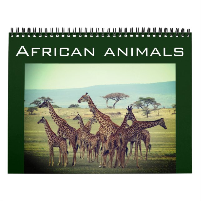 Calendário animais africanos 2027 (Capa)