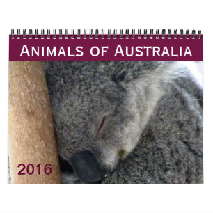 Calendário animais australianos 2016