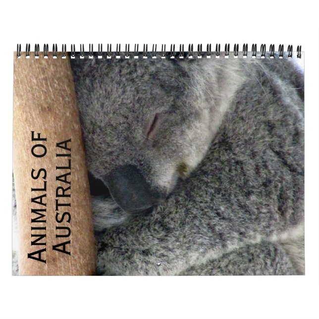 Calendário animais australianos 2025 (Capa)