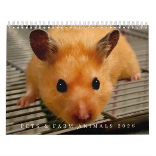 Calendário Animais de estimação e animais de fazenda calendár