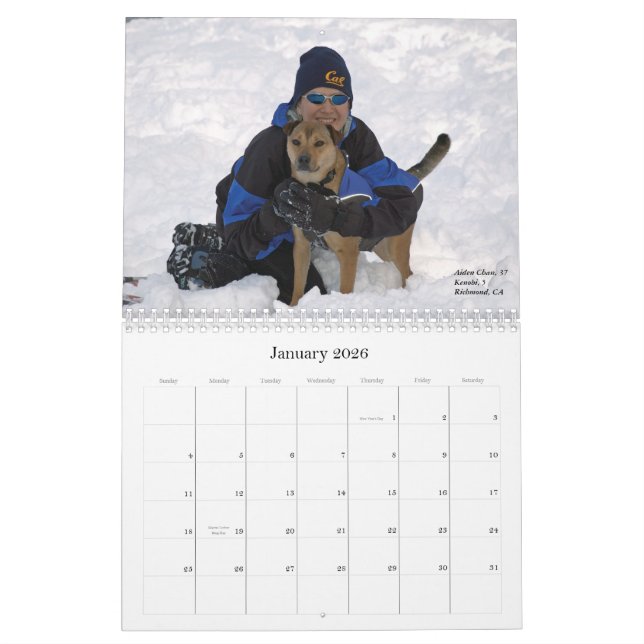 Calendário Animais de estimação & suas machas, 2013 (Jan 2026)