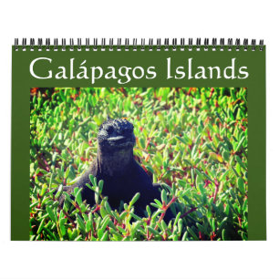 Calendário animais de galápagos 2025
