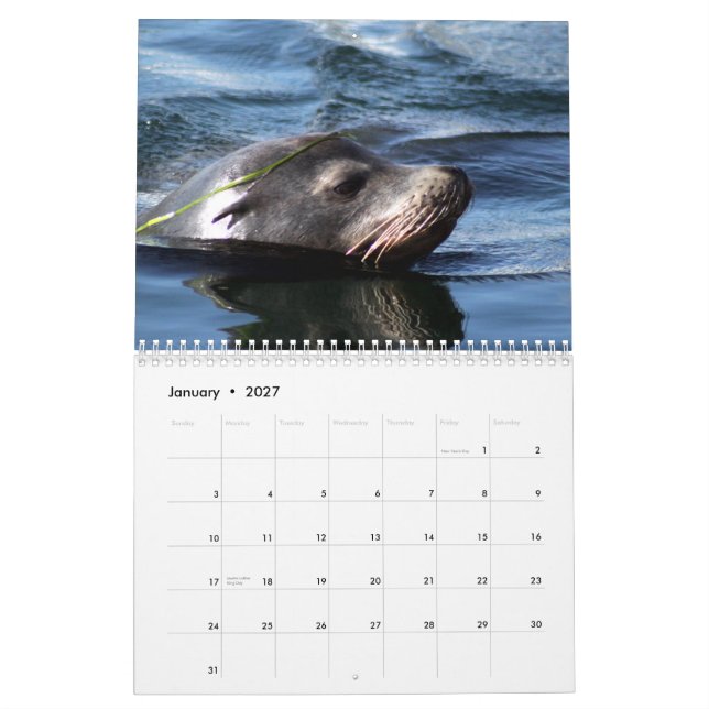 Calendário Animais de mar 2015 (Jan 2027)