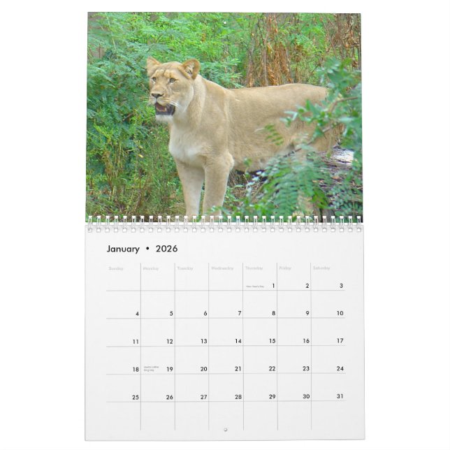 Calendário Animais do jardim zoológico de Brookfield (Jan 2026)