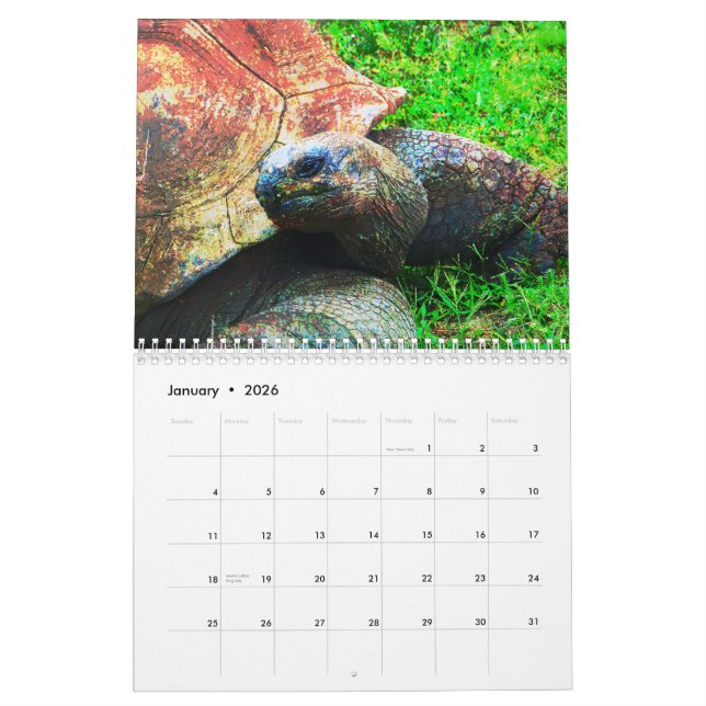 Calendário Animais do jardim zoológico de Kansas City (Jan 2026)