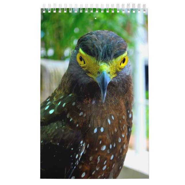 Calendário Animais e Animais de Companhia (Capa)