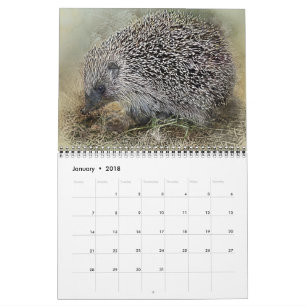 Calendário Animais Pets Vida Selvagem Amor Destino Do Destino