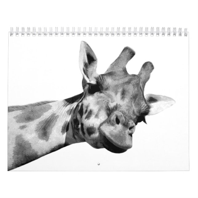 Calendário Animais Pretos e Brancos (Capa)