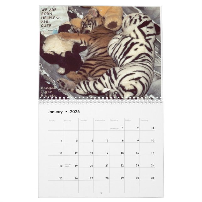 Calendário Animais salvados - nós não somos animais de (Jan 2026)