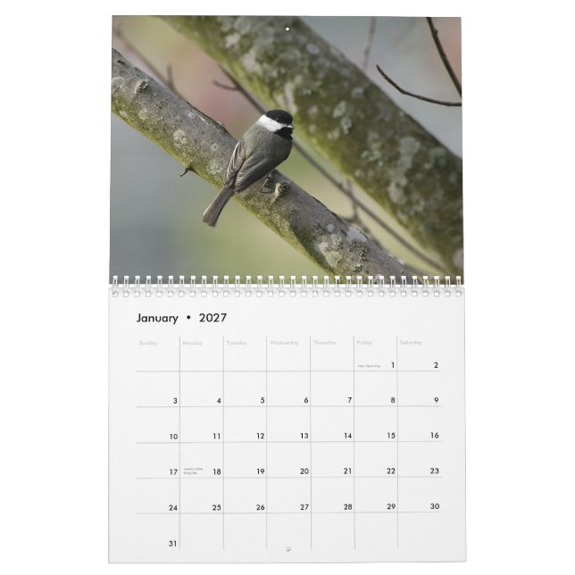 Calendário Animais selvagens 2010 de Tennessee (Jan 2027)