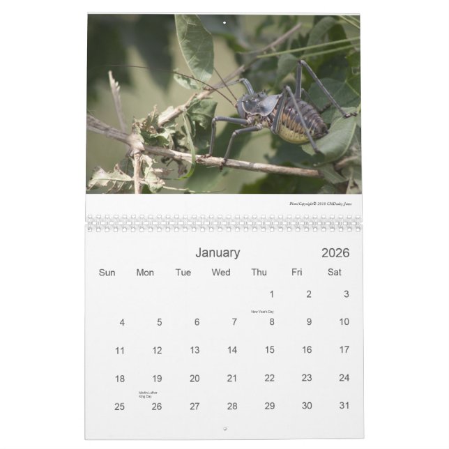 Calendário Animais selvagens 2011/12 de Mapungubwe NP RSA (Jan 2026)