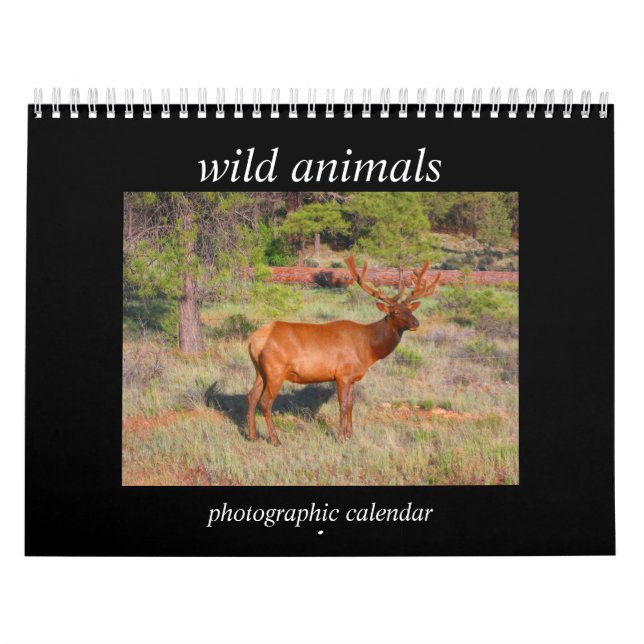 Calendário animais selvagens 2027 (Capa)