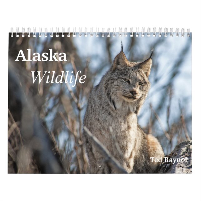 Calendário Animais selvagens de Alaska (Capa)