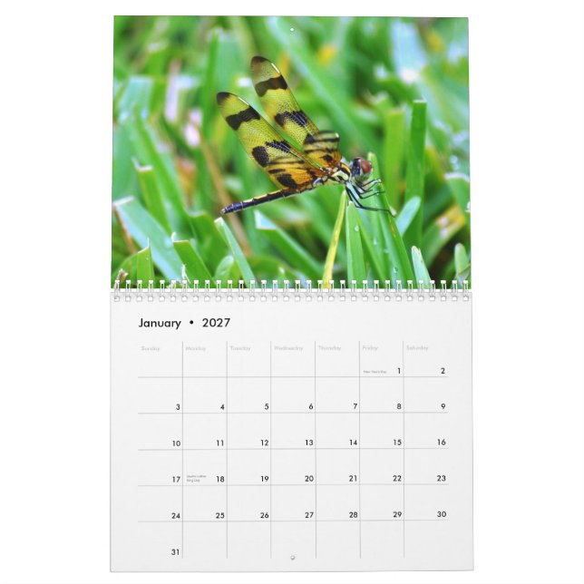 Calendário Animais selvagens de Florida (Jan 2027)