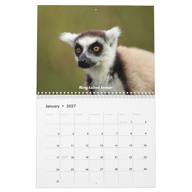 Calendário Animais selvagens de Madagascar (Jan 2027)