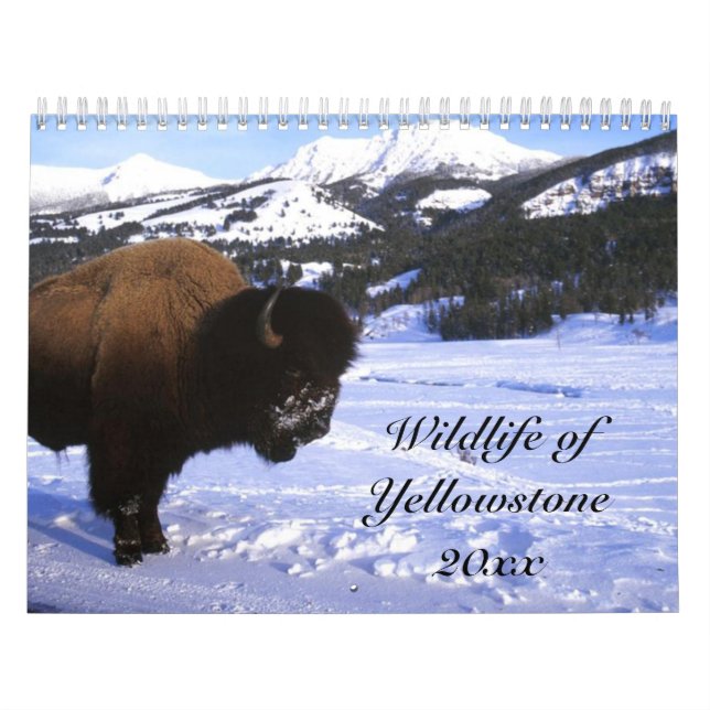Calendário Animais selvagens de Yellowstone (Capa)