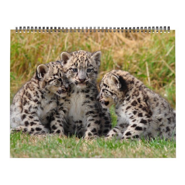 Calendário Animal (Capa)