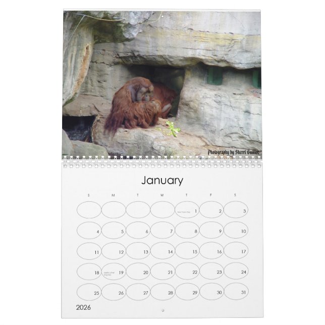 Calendário Animal 2008 (Jan 2026)