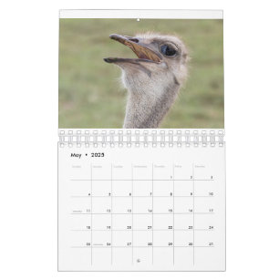 Calendário Animal 2026
