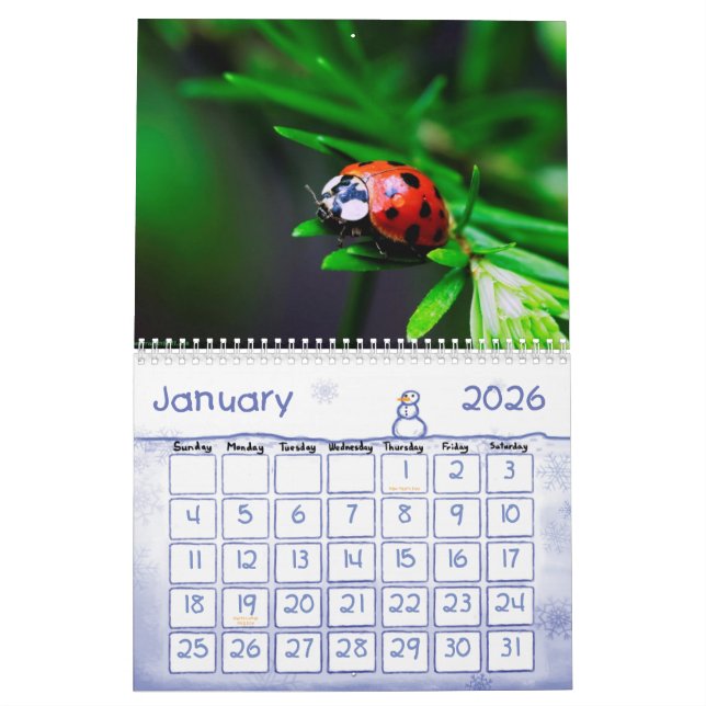 Calendário animal 5 (Jan 2026)