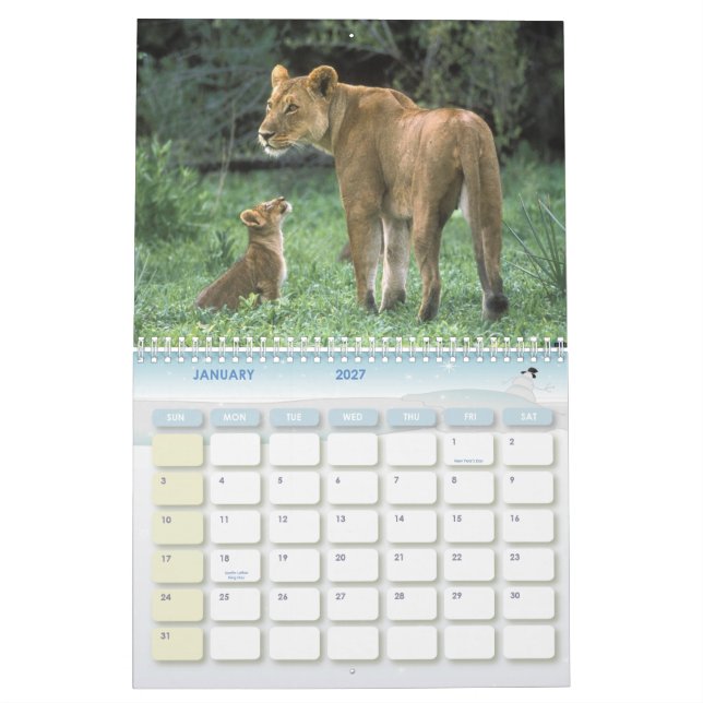 Calendário animal 6 (Jan 2027)