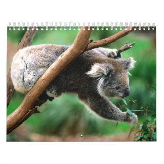 Calendário animal 6