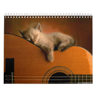 Calendário animal 7