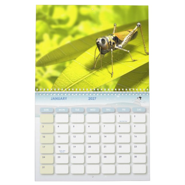 Calendário animal 8 (Jan 2027)