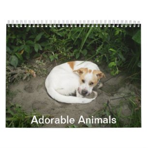 Calendário animal adorável