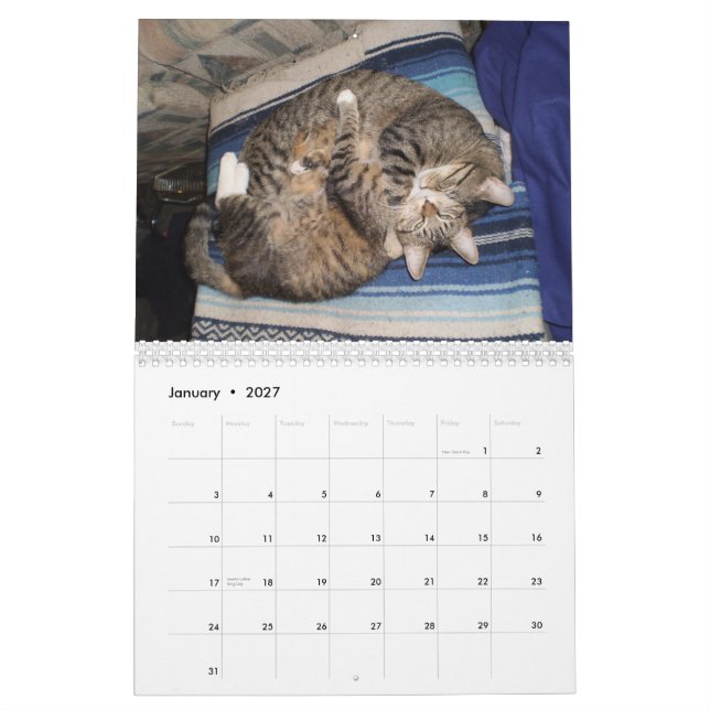 Calendário animal adorável (Jan 2027)
