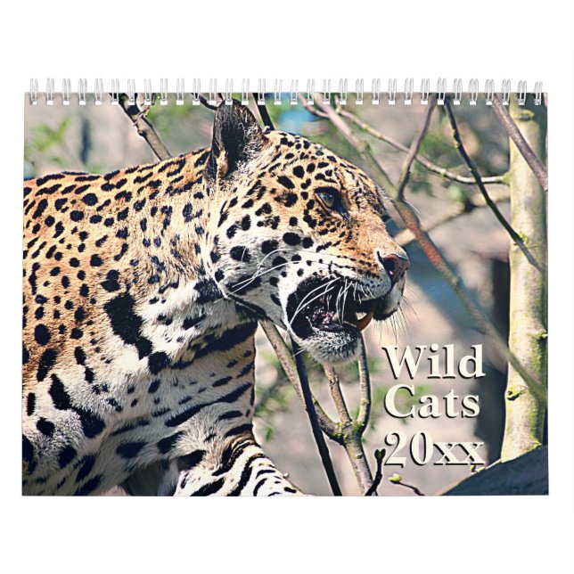 Calendário animal dos animais selvagens dos gatos (Capa)