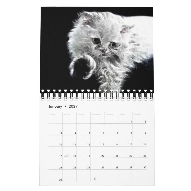 Calendário animal dos retratos 2012 do Fractal (Jan 2027)